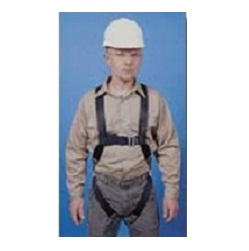 Safety Harness